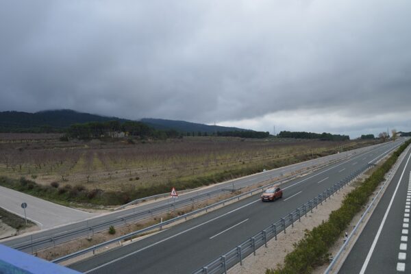 Guanyar i Compromís es reafirmen en la seua oposició al parc empresarial de La Canal