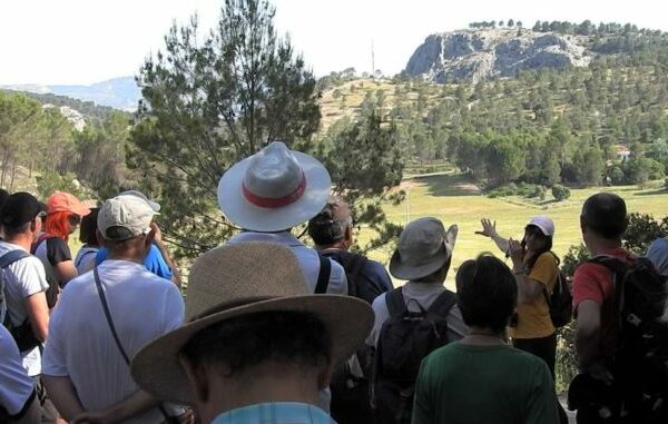 La Carrasca califica el proyecto Alcoi Sud de “amenaza directa” al Molinar