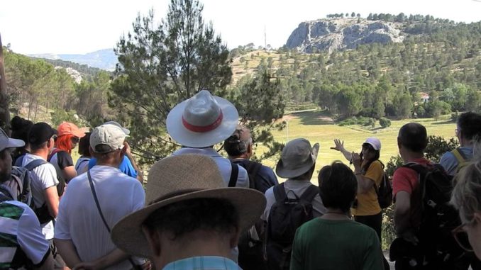La Carrasca qualifica el projecte Alcoi Sud d'“amenaça directa” al Molinar