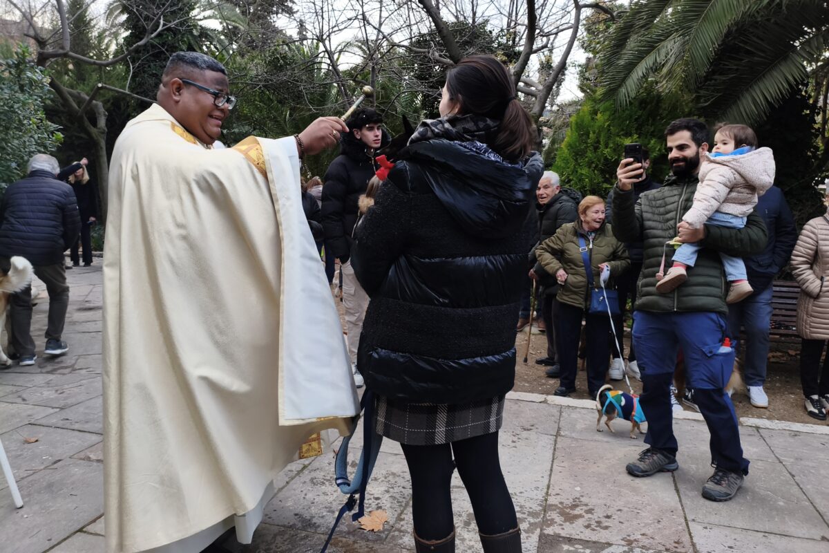 Sant Antoni resisteix la pluja i reuneix les mascotes en la tradicional benedicció