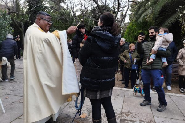 Sant Antoni resisteix la pluja i reuneix les mascotes en la tradicional benedicció