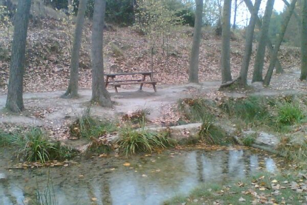 Alcoy celebra el Día del Árbol con una repoblación popular en el paraje del Racó de Sant Bonaventura