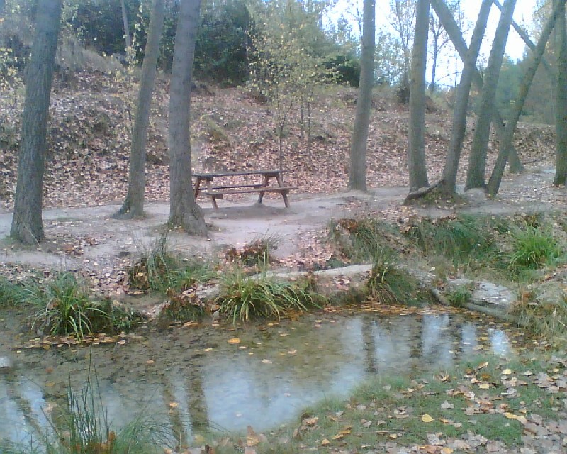 Alcoy celebra el Día del Árbol con una repoblación popular en el paraje del Racó de Sant Bonaventura