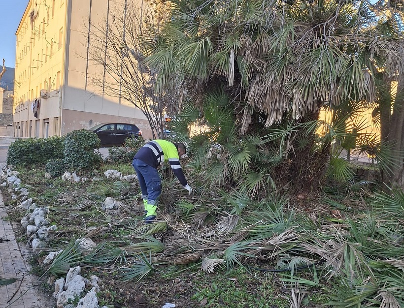 Trabajos de poda en Batoi atendiendo a las demandas de los vecinos