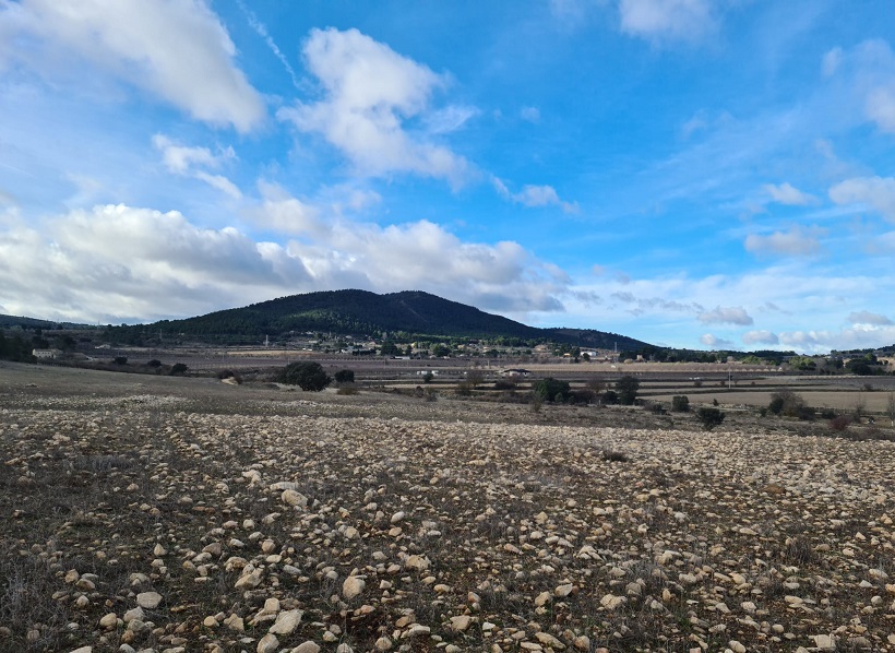 Tecnologia al servei de l’agricultura: cultivar sota plaques solars a La Sarga