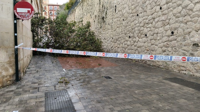 El vent que no dona treva: Alcoi davant d'un hivern de borrasques encadenades