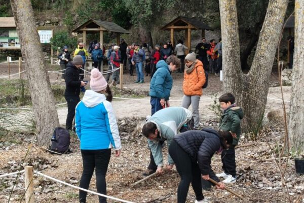 Alcoi mostra el seu compromís amb el medi ambient en una repoblació popular