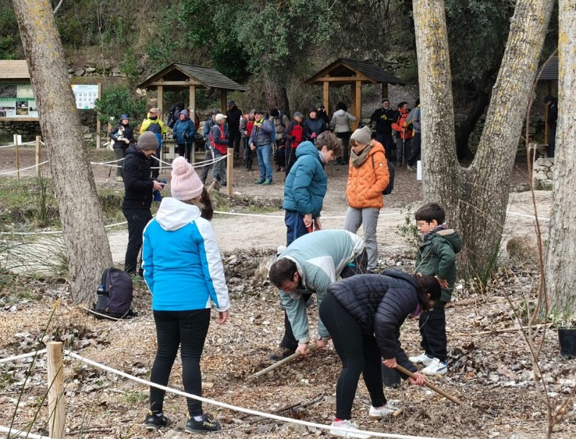 Alcoi mostra el seu compromís amb el medi ambient en una repoblació popular